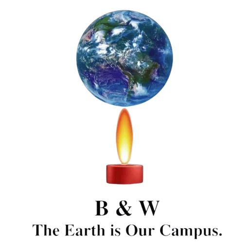 International Autism Foundation logo