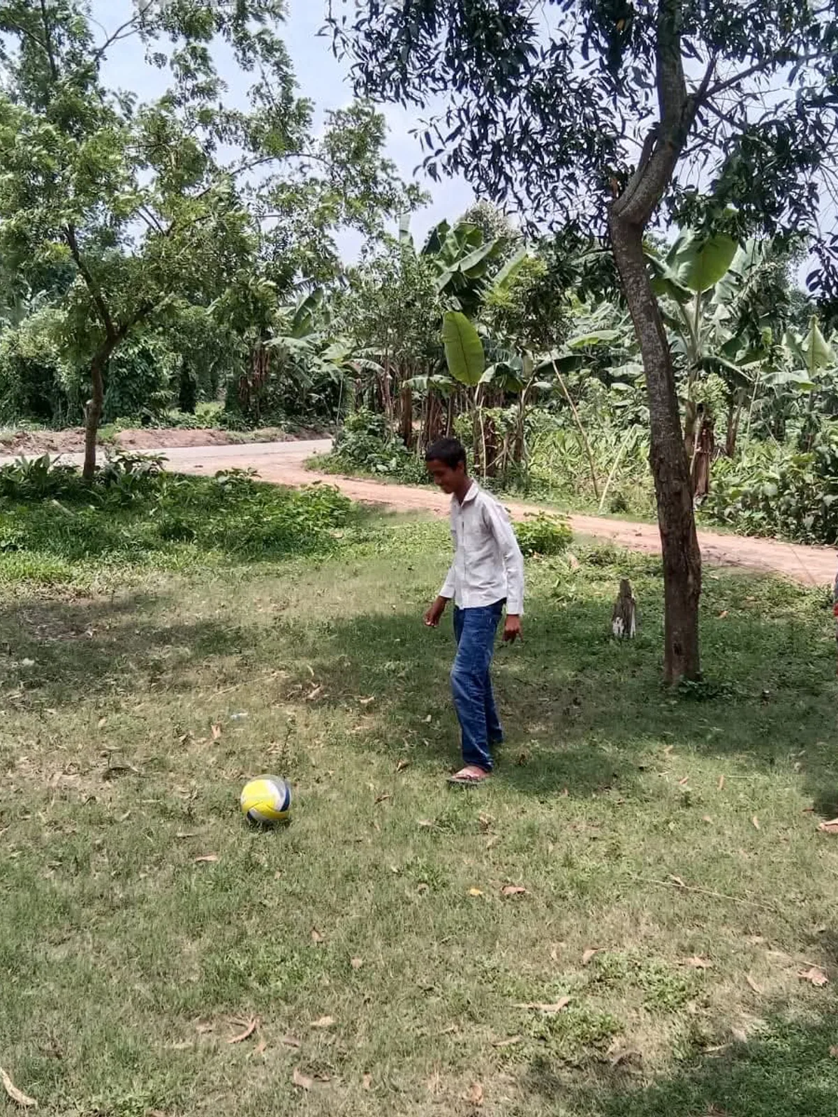 Farmland at Dhanbari